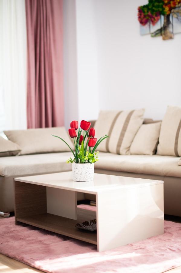 Claseb Apartment Τιμισοάρα Εξωτερικό φωτογραφία